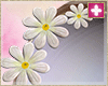 daisy shades purple