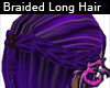 FantasyBraided Long Hair
