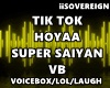 Super Saiyan Hoyaa