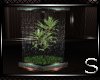 !!Fantasy Fountain