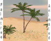Animated Palm tree