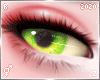 ヴ. Xip | Eyes R