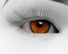 Brown eyes