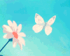 butterfly WHITE ANIME