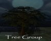 AV Tree Group
