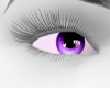 MI Shine Purple Eyes