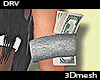 Drv ArmBand + Money F