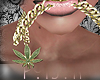 *P* Weed Mouf Chain