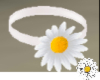 Sunny Daisy Choker