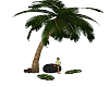 Palm tree with poses