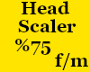 KC-Heand scaler %75