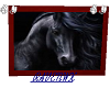 dark frame  blackhorse