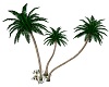 Palm Trees #2