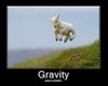 Motivational -- Gravity