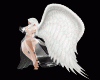 [S4]Ur Angel + Wings