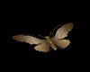 GOLD BUTTERFLY DECO