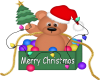 Merry Christmas Bear