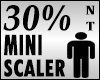 Mini Scaler 30%