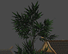 Oriental Bamboo LeafTree
