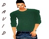 Green Sweater [D']