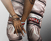 Polo II
