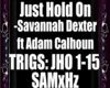 Just Hold On