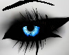 [NOVA] Demon Blue Eyes
