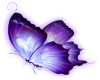 Purple Butterfly 2