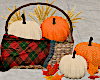 Fall Pumpkins Basket