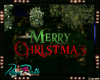 *D* Merry Christmas Pose