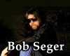 Bob Seger + Guitare