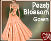 .a Peach Blossom Gown