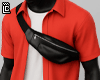 Polo x Bag