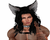 Raven long