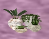 cream 4 vase planters