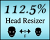 Head Scaler 112.5%