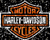 [R] Harley Davidson