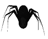 [J] Spider Decor