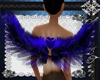 Wing*cupido azul*