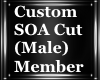 |M| SOA Cutsom Member