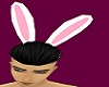 Easter Bunny Ears M/F