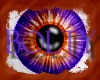Lilac Sunburst - [F]