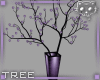 Plant Purple 2a Ⓚ