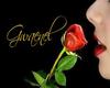 My Pics