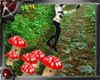 !Bouncing Cute Mushrooms