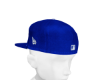 snapback 4