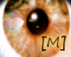 [M] sqrulley eyes