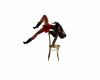 completo soraia