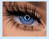 Mine Tone Unisex Eyes