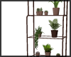 Plants Rack ~